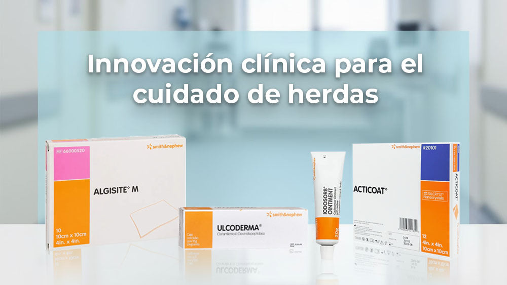 Innovación clínica y eficacia comprobada: Smith & Nephew para el cuidado avanzado de heridas